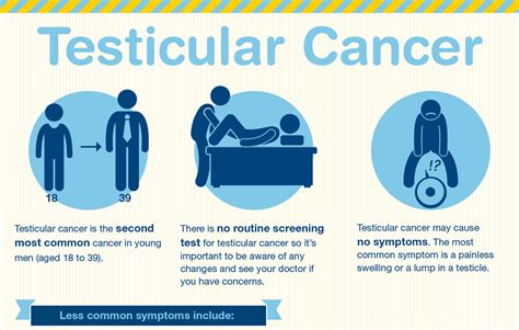 cancer testicular wikipedia|is testicular cancer deadly.